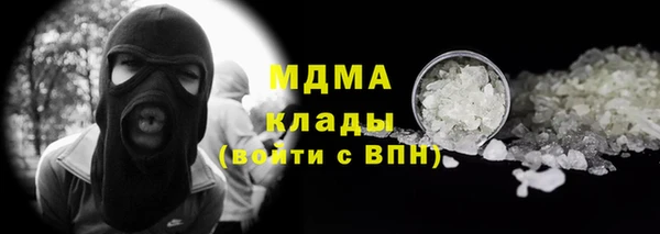 индика Богданович